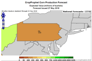 Corn Production for Pennsylvania