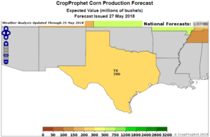 Corn Production for Texas