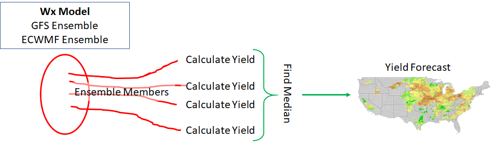 Diagram of the ensemble weather model corn yield forecast process