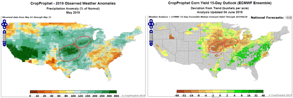 Precipitation Impact on Corn Yields